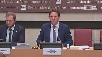 Commission parlementaire sur la perte de souveraineté énergétique de la France - Auditions préliminaires divers [2022-11-02]